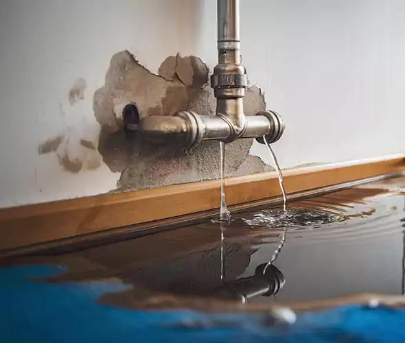 Professional Water Damage Restoration Experts in Virginia Beach, VA — Fast, Reliable & Certified