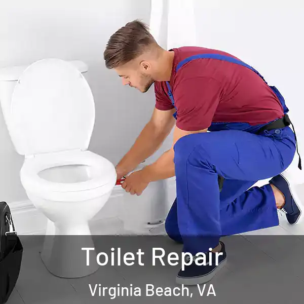  Toilet Repair Virginia Beach, VA