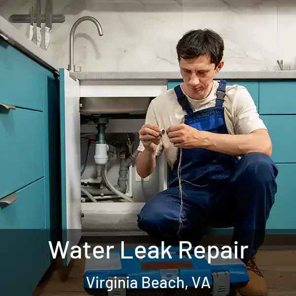  Water Leak Repair Virginia Beach, VA